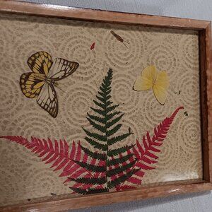 Vintage Pressed Dried plants ferns Butterfly Wood Bamboo Dresser Vanity Tray